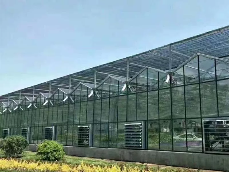 Steel Vertical Farm Туруктуу Айыл чарбасынын келечеги эмне кылат?