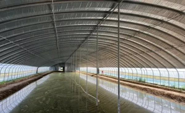 Indoor Aquaculture Warehouse Steel Construction