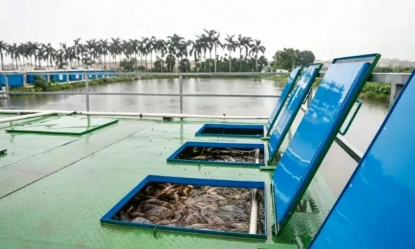 Indoor Aquaculture Warehouse Steel Construction